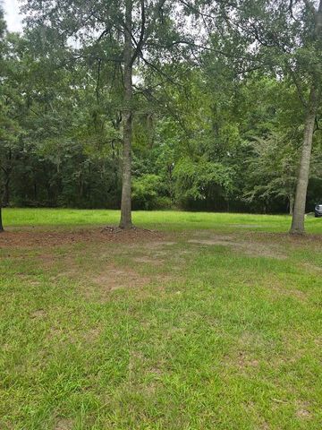 6210 Smoak Retreat Road, Adams Run, SC 29426
