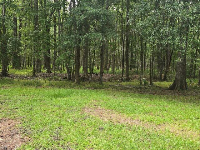 6210 Smoak Retreat Road, Adams Run, SC 29426