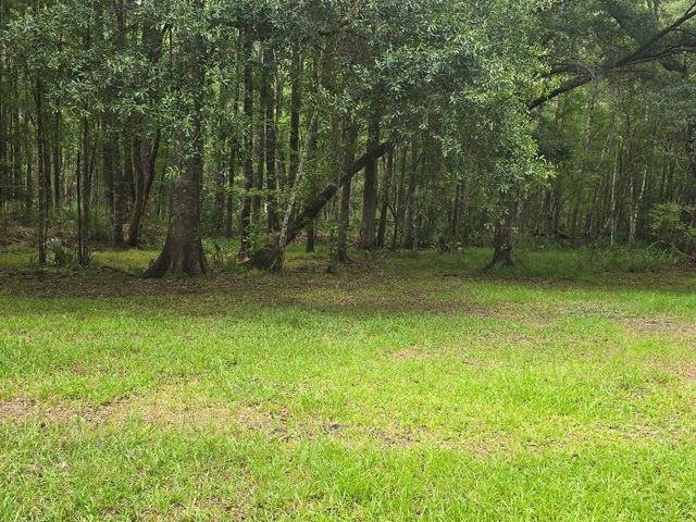 6210 Smoak Retreat Road, Adams Run, SC 29426