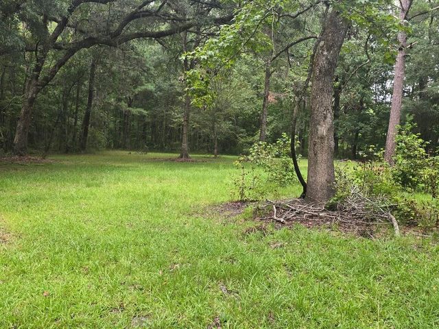 6210 Smoak Retreat Road, Adams Run, SC 29426