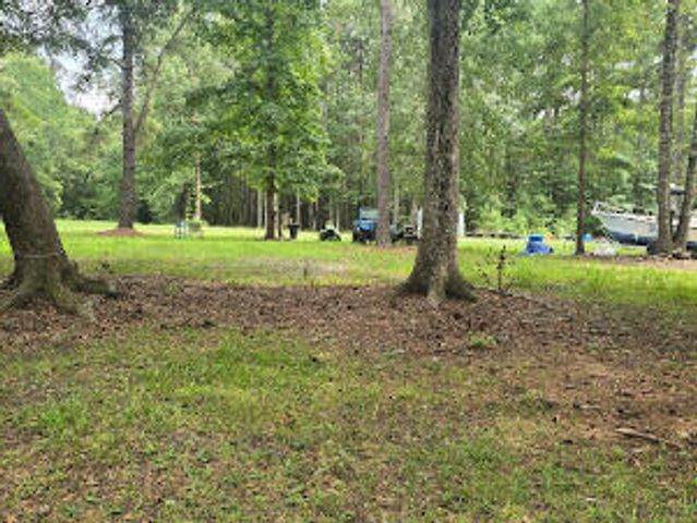 6210 Smoak Retreat Road, Adams Run, SC 29426