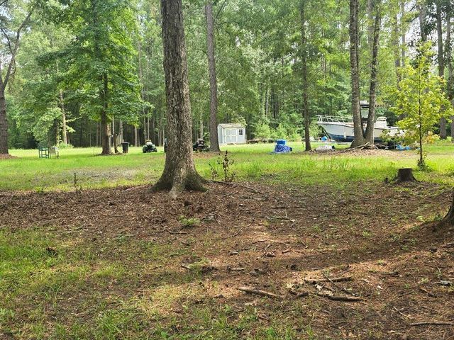 6210 Smoak Retreat Road, Adams Run, SC 29426
