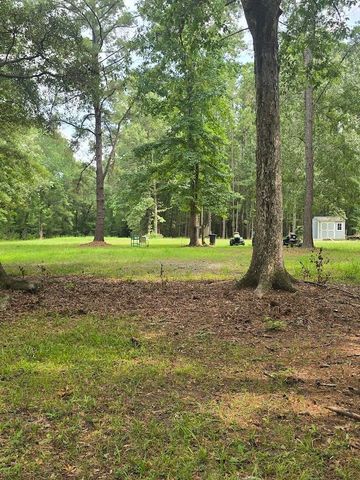 6210 Smoak Retreat Road, Adams Run, SC 29426