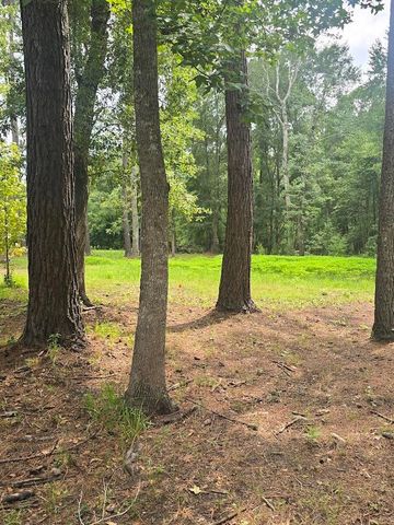 6210 Smoak Retreat Road, Adams Run, SC 29426