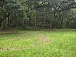 6210 Smoak Retreat Road, Adams Run, SC 29426