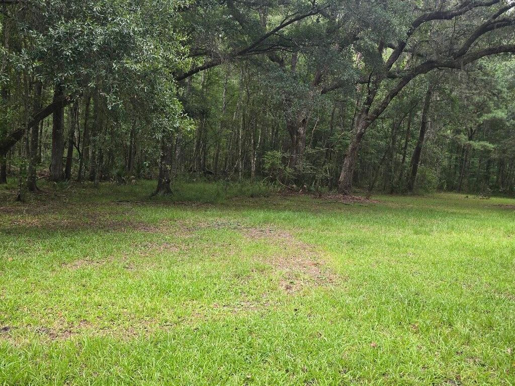 6210 Smoak Retreat Road, Adams Run, SC 29426