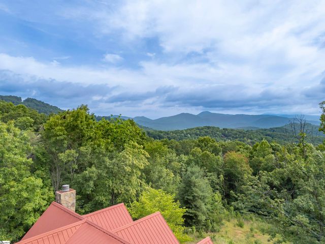 916 Fire Tower Road, Bostic, NC 28018