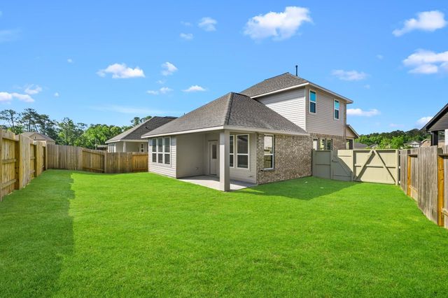 15218 Black Scoter Court, Magnolia, TX 77354
