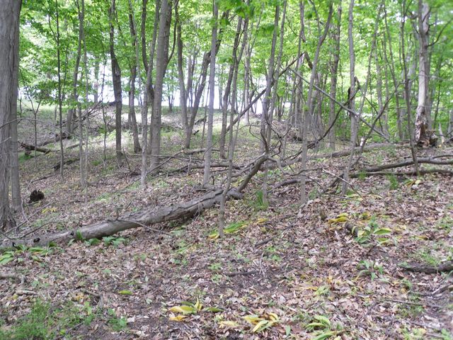 S Lakeshore Drive 26, Ludington, MI 49431