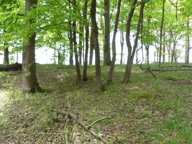 S Lakeshore Drive 26, Ludington, MI 49431