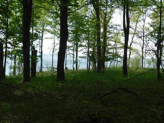 S Lakeshore Drive 26, Ludington, MI 49431