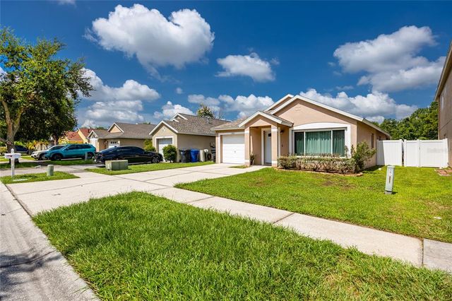 13133 CARROLLWOOD CREEK DRIVE, Tampa, FL 33624