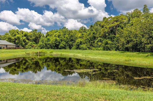 13133 CARROLLWOOD CREEK DRIVE, Tampa, FL 33624