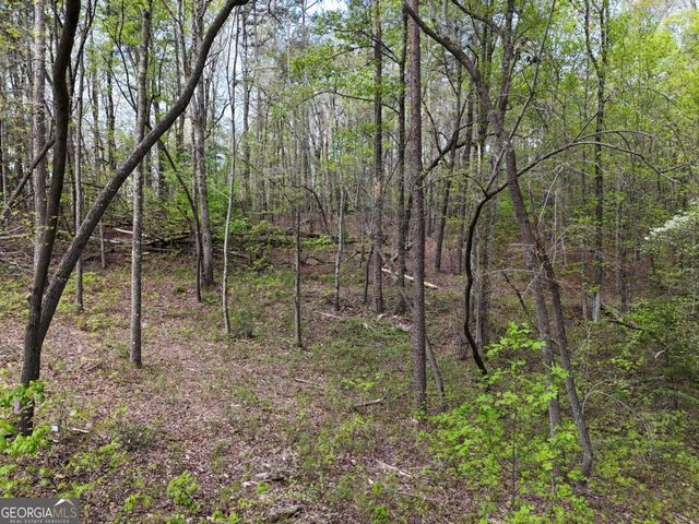 LT 36R Hilton Drive, Ellijay, GA 30540