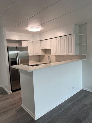 16 E Old Willow Road 405s, Prospect Heights, IL 60070