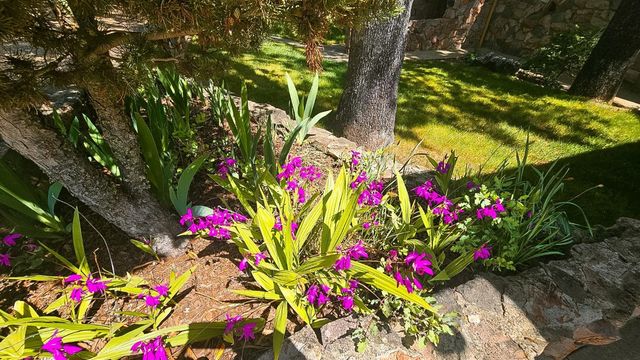 2587 Burns Rd, San Andreas, CA 95249