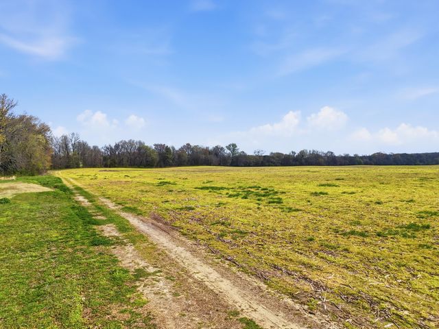 0 Bowling Alley Road, Manchester, TN 37355