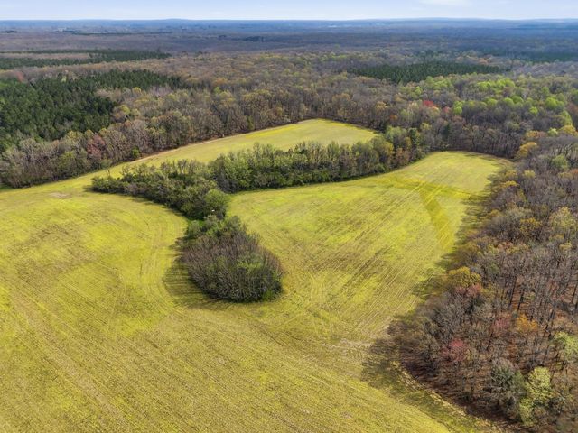 0 Bowling Alley Road, Manchester, TN 37355