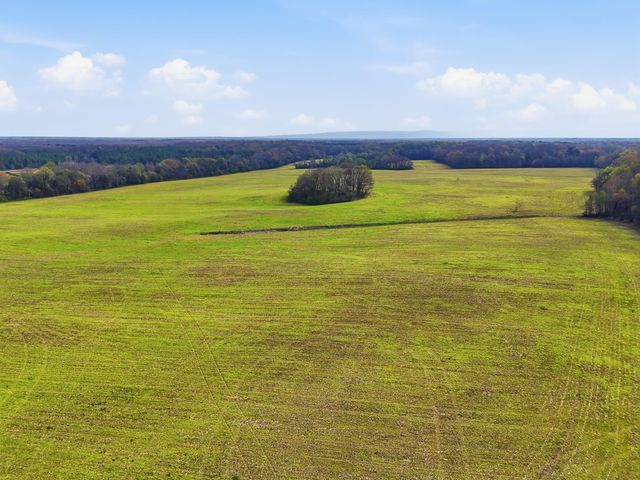 0 Bowling Alley Road, Manchester, TN 37355