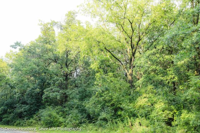 704 Echo (Lot 21) Trail, Marengo, IL 60152