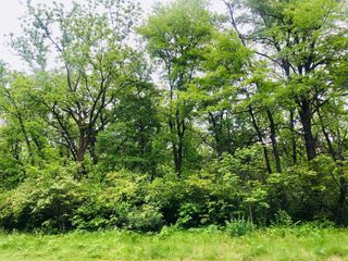 704 Echo (Lot 21) Trail, Marengo, IL 60152