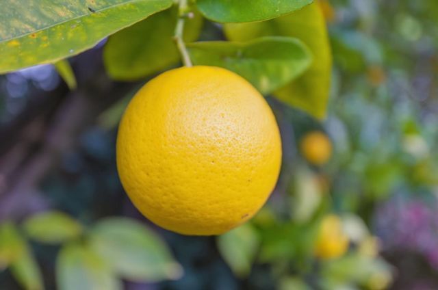 2024 Eaton Avenue, San Carlos, CA 94070