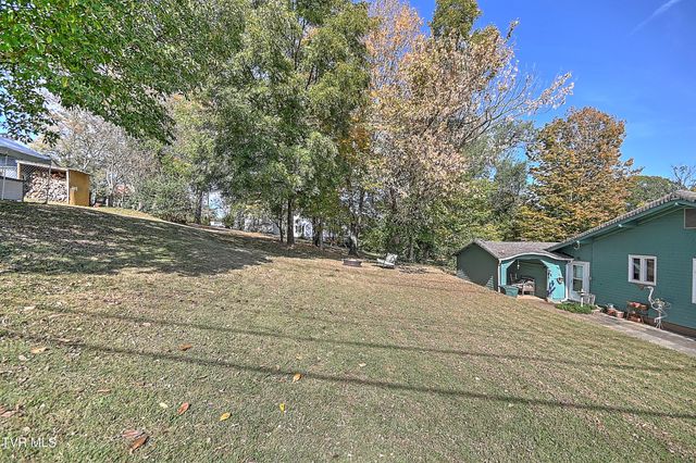 217 South Irish Street, Greeneville, TN 37743