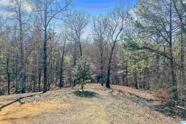 347 MCMAHON HIGHLAND ROAD, Calera, AL 35040