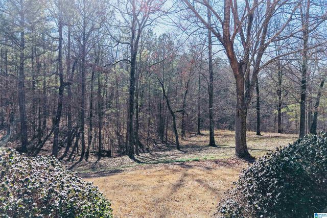 347 MCMAHON HIGHLAND ROAD, Calera, AL 35040