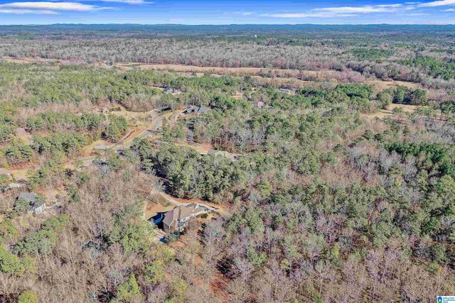 347 MCMAHON HIGHLAND ROAD, Calera, AL 35040