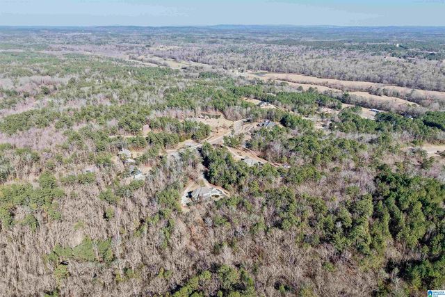 347 MCMAHON HIGHLAND ROAD, Calera, AL 35040