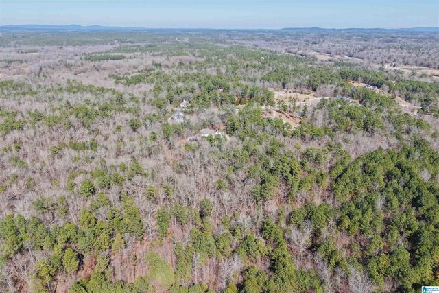 347 MCMAHON HIGHLAND ROAD, Calera, AL 35040