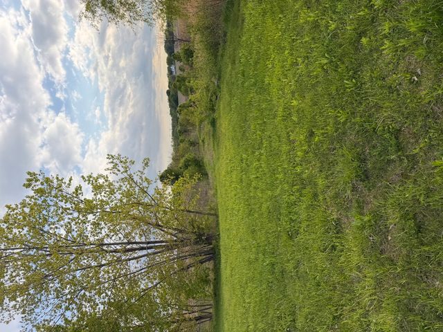 18555 S Marilynn Court, Mokena, IL 60448