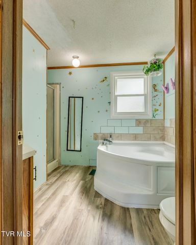 353 Center Drive, Blountville, TN 37617