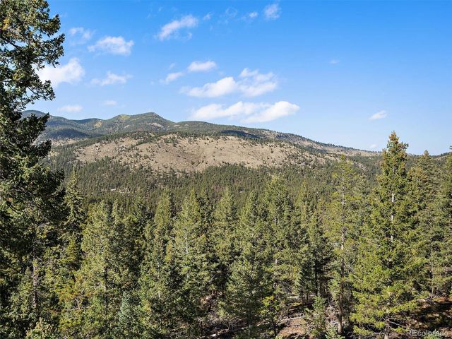 33884 Bergen View Trail, Evergreen, CO 80439