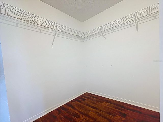 810 ISLAND WALK DRIVE 810, Tampa, FL 33602