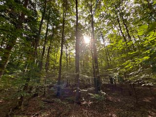 000 Langs Lane, Interlochen, MI 49643