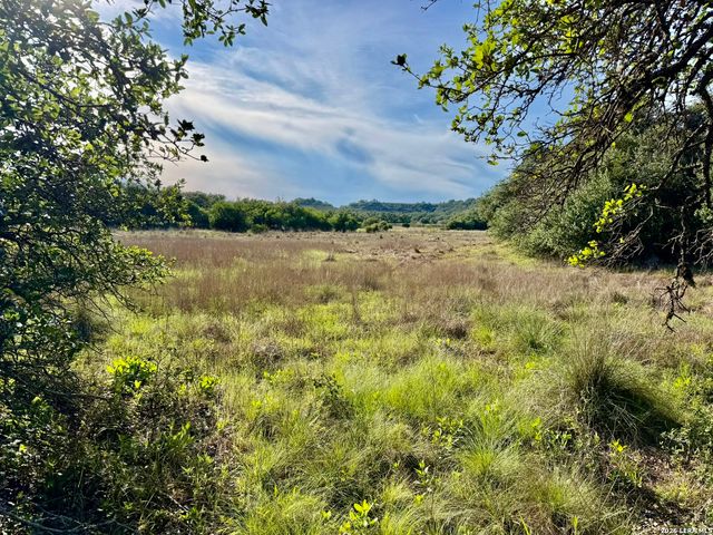3513 N Us Highway 281, Blanco, TX 78606