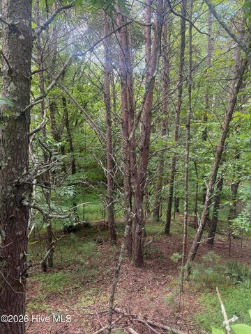 18 + 19 Joyce Road, Murphy, NC 28906