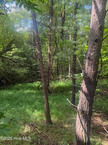 18 + 19 Joyce Road, Murphy, NC 28906