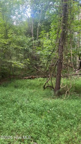 18 + 19 Joyce Road, Murphy, NC 28906
