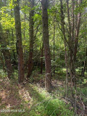 18 + 19 Joyce Road, Murphy, NC 28906