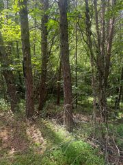 18 + 19 Joyce Road, Murphy, NC 28906