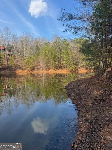 208 Lake Forest Drive, Ellijay, GA 30540