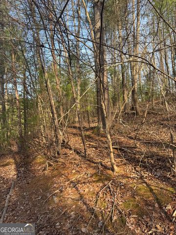 208 Lake Forest Drive, Ellijay, GA 30540