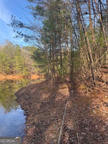 208 Lake Forest Drive, Ellijay, GA 30540