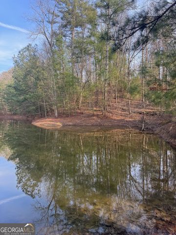 208 Lake Forest Drive, Ellijay, GA 30540