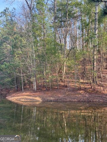208 Lake Forest Drive, Ellijay, GA 30540
