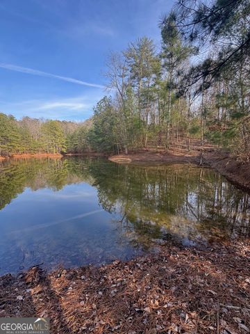 208 Lake Forest Drive, Ellijay, GA 30540