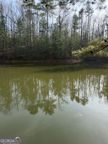 208 Lake Forest Drive, Ellijay, GA 30540